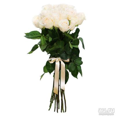 Лот: 13571211. Фото: 1. Лот № 242 Букет 15 белых роз -... Свежие цветы