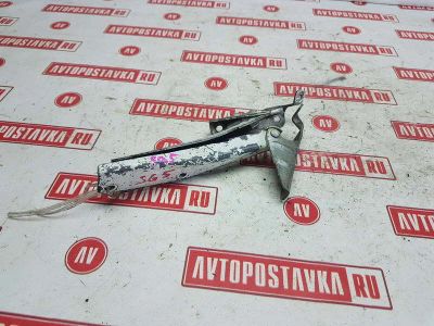 Лот: 20899211. Фото: 1. Петля капота Subaru Forester SG5... Двигатель и элементы двигателя