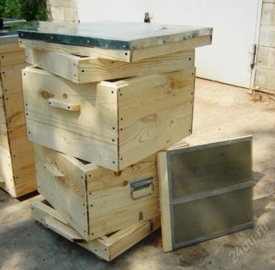 Лот: 1883088. Фото: 1. пчелы, продам пчелосемьи. Другое (растения и животные)