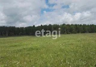 Лот: 25297896. Фото: 1. участок , СПК Солонцы СПК Солонцы... Земельные участки