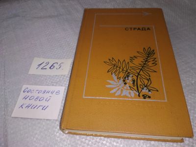 Лот: 19243515. Фото: 1. Страда. Повести, рассказы, Сборник... Художественная