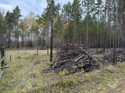 Лот: 24003434. Фото: 1. Вывести мусор с участка. Грузоперевозки, доставка
