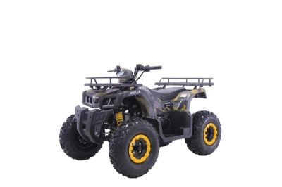 Лот: 25364759. Фото: 1. Квадроцикл MOTAX Grizlik T 200. Снегоходы, квадроциклы