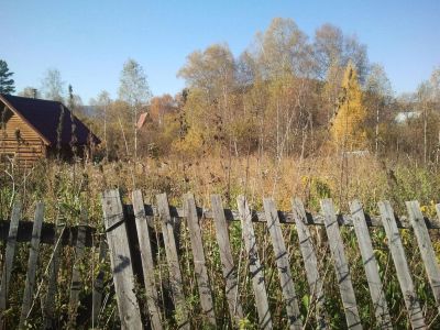 Лот: 5478532. Фото: 1. продам участок в п.Манский, недорого... Земельные участки