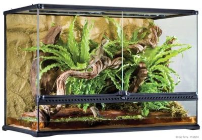 Лот: 4505305. Фото: 1. Террариум EXO TERRA 90 x 45 x... Домики, переноски, клетки, когтеточки