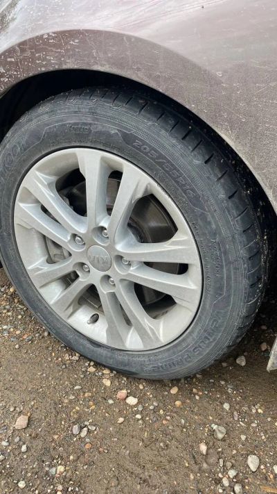 Лот: 20590044. Фото: 1. Летние шины Hankook Ventus Prime... Шины