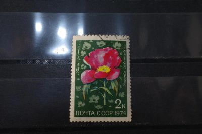 Лот: 3992028. Фото: 1. марки СССР 18 Пион средний 1974... Марки