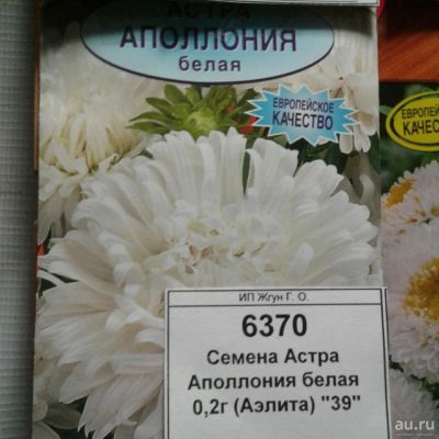 Лот: 9110720. Фото: 1. Семена / Астра / Аполлония / белая... Садовые цветы