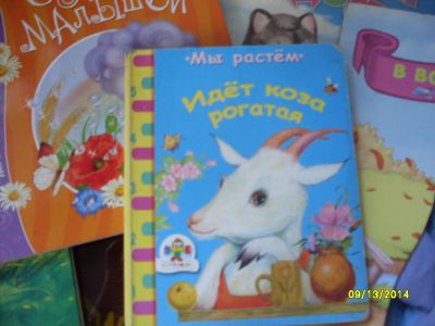 Лот: 4507894. Фото: 1. Коза рогатая. Другое (детям и родителям)