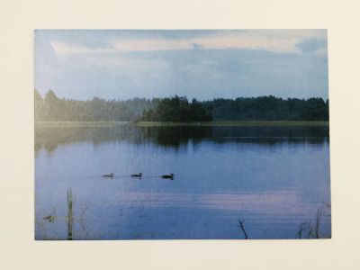 Лот: 23297372. Фото: 1. Тихая заводь. Открытка. 1995-2000. Открытки, конверты