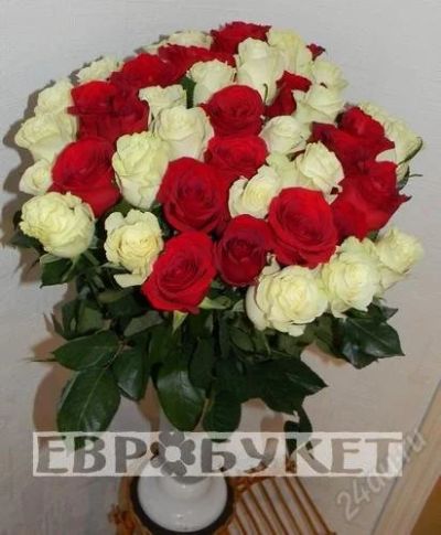Лот: 2967314. Фото: 1. 51 роза + доставка (розы голландские... Другое (цветы, букеты)