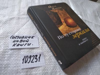 Лот: 20761644. Фото: 1. (109231) Хаакман, Антон По ту... Искусствоведение, история искусств