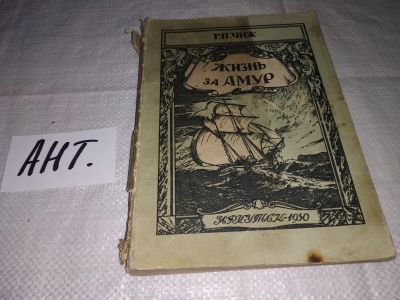 Лот: 13443872. Фото: 1. Чиж Г.П. Жизнь за Амур. Художник... Книги