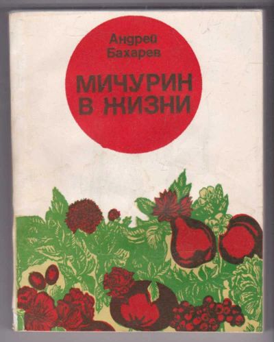 Лот: 23439377. Фото: 1. Мичурин в жизни. Мемуары, биографии