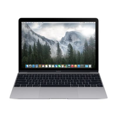 Лот: 8995410. Фото: 1. macbook 12 возможен торг. Ноутбуки