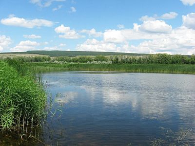 Лот: 5951750. Фото: 1. Продам водоем с земельным участком... Земельные участки