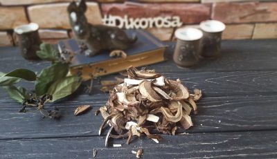 Лот: 8708147. Фото: 1. Подосиновик сухой. Грибы