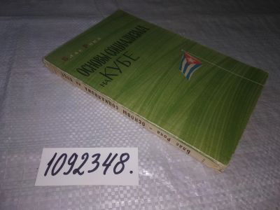 Лот: 21337759. Фото: 1. (1092348) Блас Рока Основы социализма... Политика