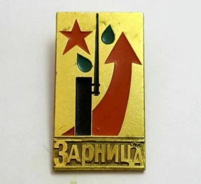 Лот: 11675861. Фото: 1. Значок: Военно-спортивная игра... Сувенирные