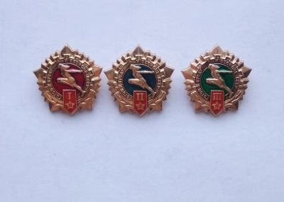 Лот: 25736487. Фото: 1. Значки ГТО 1, 2, 3 (комплект). Сувенирные