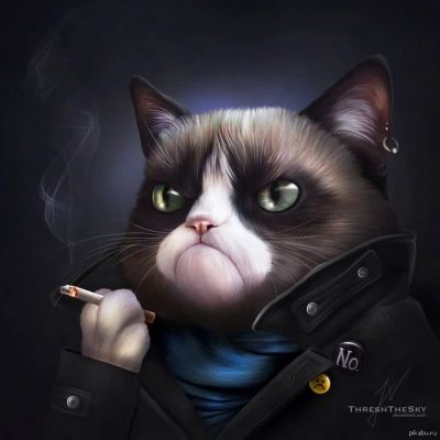 Лот: 4829967. Фото: 1. 1. Смартфоны