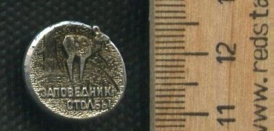 Лот: 17407012. Фото: 1. (№ 8243 ) значки флора фауна,Красноярск... Сувенирные