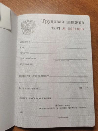Лот: 23361751. Фото: 1. Трудовая книжка. Записные книжки, ежедневники, блокноты