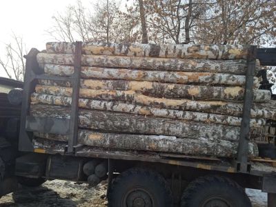 Лот: 17430725. Фото: 1. Дрова береза. Другие (дрова, топливо)