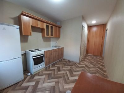 Лот: 25897294. Фото: 1. Сдам 1-комнатную квартиру с техникой... Квартиры, студии