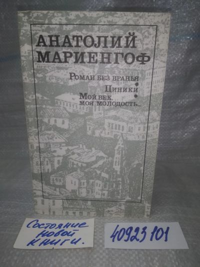 Лот: 25678037. Фото: 1. озв..вбр..(40923101) Роман без... Художественная