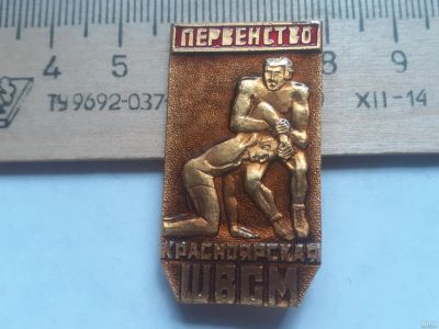 Лот: 18145996. Фото: 1. (№10758)значки ,спорт,Красноярск... Памятные медали