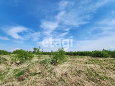 Лот: 25298526. Фото: 1. участок , садоводческое товарищество... Земельные участки