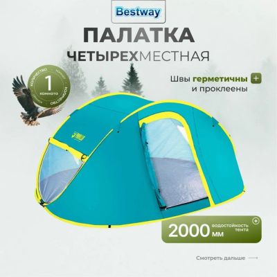 Лот: 24102246. Фото: 1. Палатка 4-местная, 240х210х100... Палатки, тенты