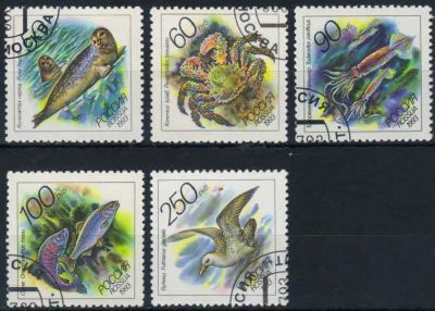 Лот: 20680780. Фото: 1. 1993, 6 июля. Животные морей Тихоокеанского... Марки