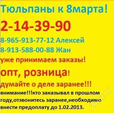 Лот: 2441358. Фото: 1. тюльпаны к 8 марта,опт, розница. Другое (готовый бизнес)