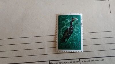 Лот: 21776314. Фото: 1. Марка 1972 г, 4092. Марки