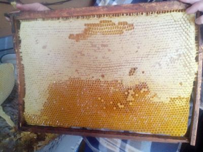 Лот: 8017516. Фото: 1. Мед сотовый. Мёд, продукты пчеловодства