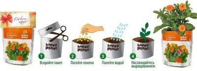 Лот: 2661851. Фото: 1. Набор для выращивания Happy plant. Другое (творчество)