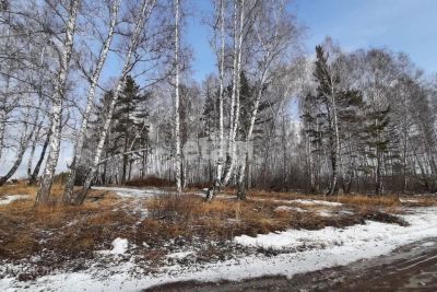 Лот: 25295993. Фото: 1. участок , ДНТ Южный Склон ДНТ... Земельные участки