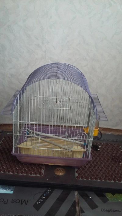 Лот: 11345613. Фото: 1. Клетка для попугая. Птицы