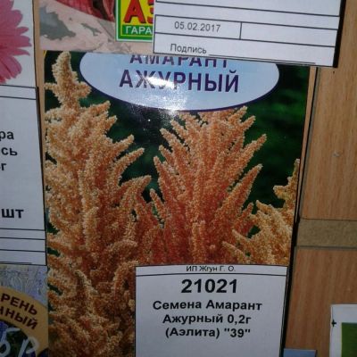 Лот: 9118713. Фото: 1. Семена / цветы / Амарант / Ажурный... Садовые цветы