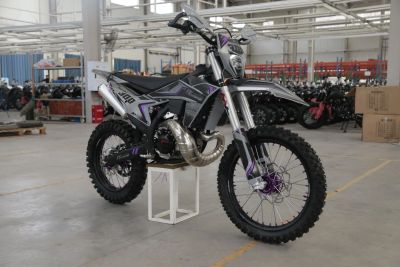 Лот: 25744295. Фото: 1. Мотоцикл FXMOTO XP300 2T без прогрессии. Мотоциклы