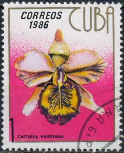 Лот: 24997426. Фото: 1. 1986. Куба. Орхидеи. н.с. № 3040. Марки
