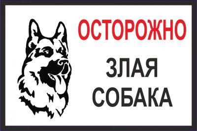 Лот: 6838554. Фото: 1. Табличка злая собака 300х200 мм. Другое (для дачи, дома, огорода, бани, парка)