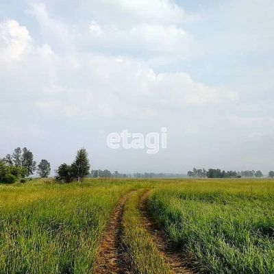 Лот: 25297127. Фото: 1. участок , село Сухобузимское село... Земельные участки