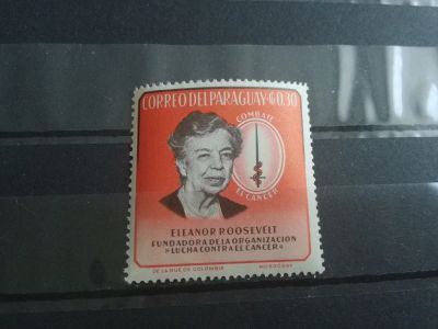 Лот: 15081393. Фото: 1. 1964 г, Парагвай, представитель... Марки