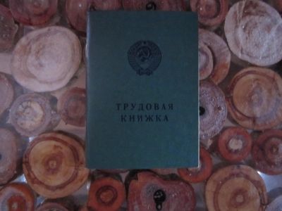 Лот: 11824020. Фото: 1. Трудовая книжка СССР. Предметы интерьера и быта