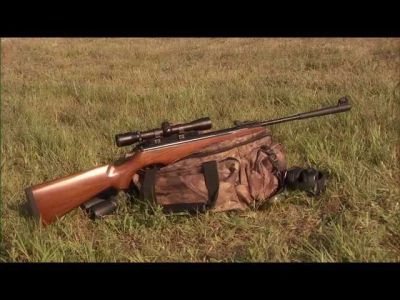 Лот: 5872209. Фото: 1. Stoeger x50 wood combo с газовой... Пневматическое оружие