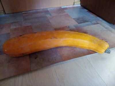 Лот: 15240036. Фото: 1. кабачок. Овощи, фрукты, зелень