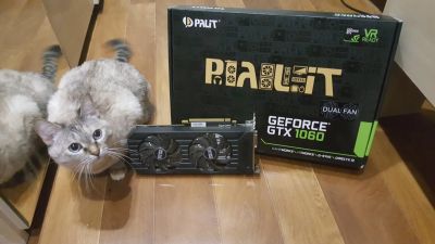 Лот: 12653617. Фото: 1. GTX 1060 Dual Palit. Видеокарты